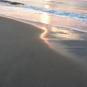 Meet your Posher, Al